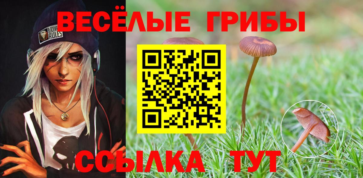 Псилоцибиновые грибы прущие грибы Белово