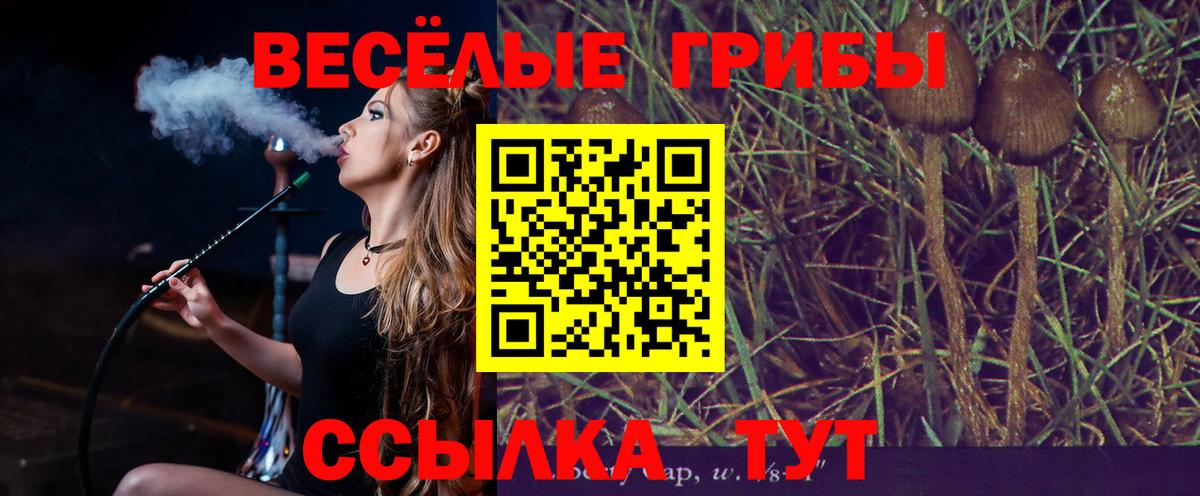 купить закладку  Галлюциногенные грибы мицелий  Вход с VPN  Псилоцибиновые грибы Magic Shrooms  Белово 